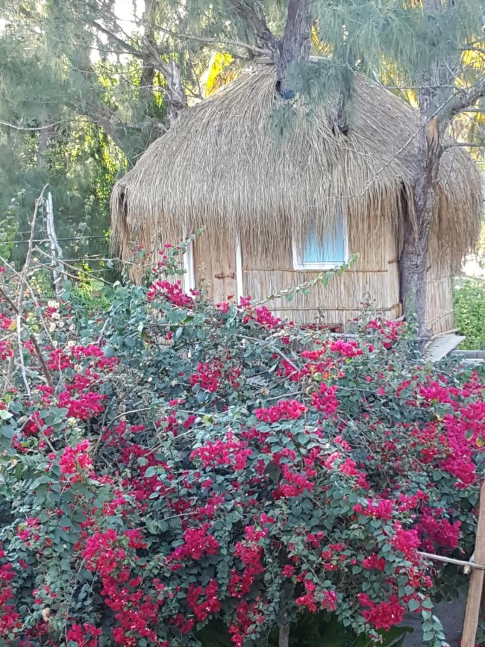 Baraka Beach Виланкулос Екстериор снимка